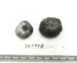 Click for 1 image(s) for this accession. FRUIT